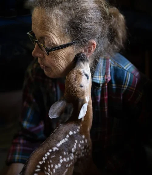 SPENCER_DW_Kim&TheFawn