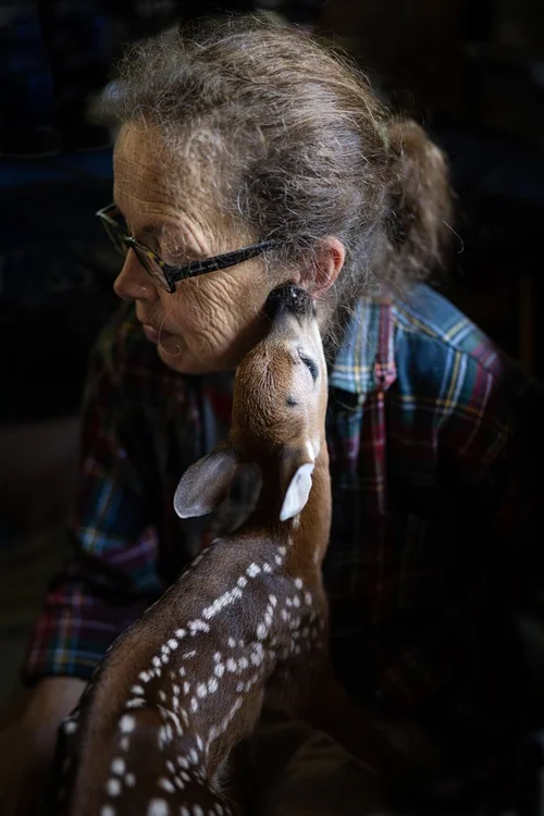 SPENCER_DW_Kim&TheFawn